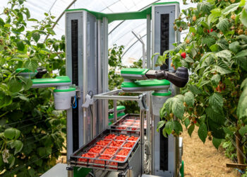 Fieldwork Robotics发布新型Fieldworker 1机器人，实现高效采摘浆果 – The Robot Report