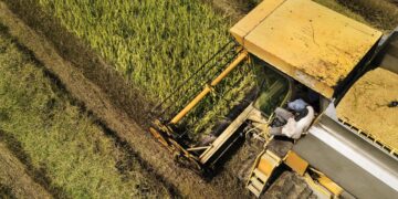 拜耳：现代化其端到端全球物流运营