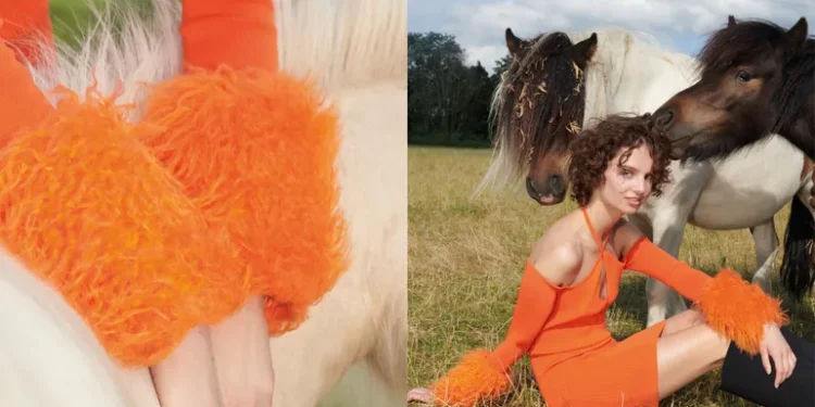 H&M停止采购新羽绒纤维：可持续发展的决策与未来展望