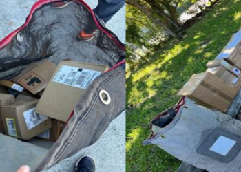 UPS员工涉嫌盗窃价值67,000美元的iPhone及其他电子产品：布劳沃德警察局报告