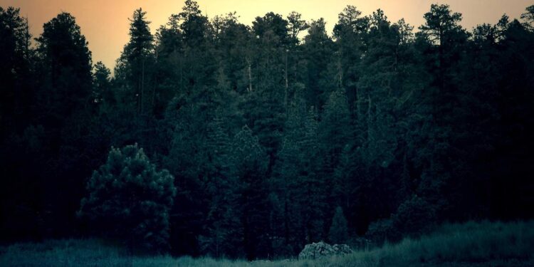 美团如何用动态奖金分配降低 25% 订单取消率？华科团队 KDD 2022 研究详解