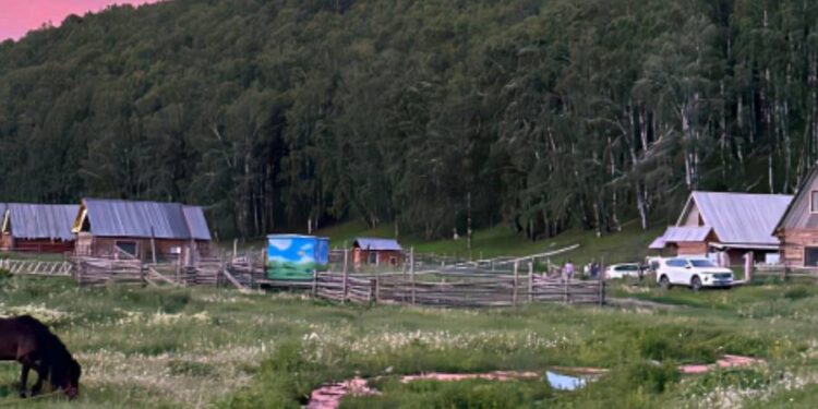 2026跨境物流决胜关键：五大服务商深度拆解——成本压降15%、5日达成率95%背后的供应链重构逻辑