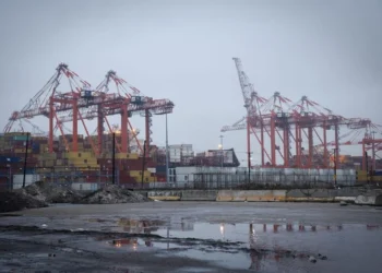 1660亿美元关税退款风暴来袭：美国海关45天建系统，全球供应链迎来‘退潮式’再平衡