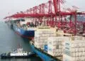 东南亚供应链重组加速：中国出口下降30% vs 东南亚出口增长23%的深层解读
