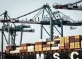 BCG：74%尼日利亚高管乐观，2026年GenAI整合潮与AfCFTA供应链重构