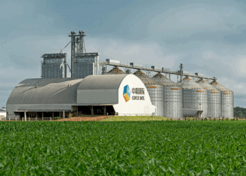 中粮国际获4.35亿美元可持续挂钩贷款：农业供应链ESG融资新范式