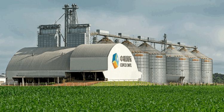 中粮国际获4.35亿美元可持续挂钩贷款：农业供应链ESG融资新范式