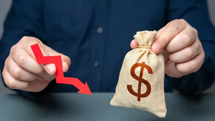 PDD profit sinks 12% in 2025 despite strong revenue