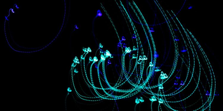 当不确定性成为生产力：清华-美团研究揭示即时配送服务时间的概率建模革命