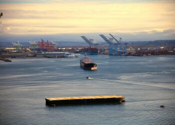 Central Retail Vietnam Cuts Stock-Outs by 20% via Supply Chain Revamp