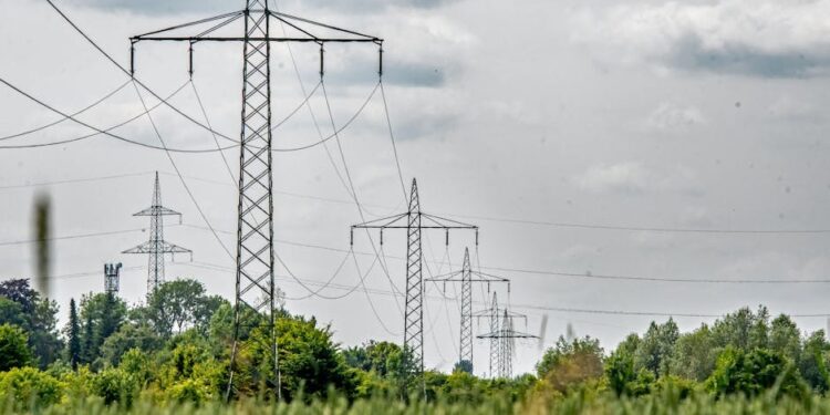 欧盟11月起对华小包征收2欧元处理费,年入59亿件包裹成监管焦点