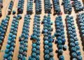 Southeast Asia’s Supplier Renaissance: Becoming 2026’s Global Trade Powerhouse