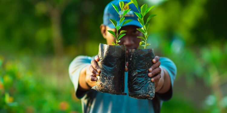 2026 年私募资本 ESG 变局：从合规负担到价值引擎的供应链战略重构
