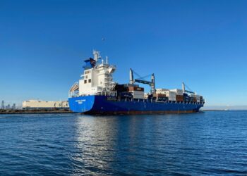 CIPS警告：海湾冲突致南非供应链延误10-14天，2026年企业急需危机韧性手册