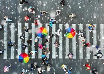 Supplier Management and Risk Assessment as Pillars of Supply Chain Resilience