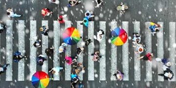Supplier Management and Risk Assessment as Pillars of Supply Chain Resilience