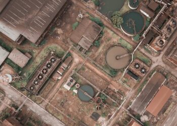 Nature-Dependent Supply Chains: Why Biodiversity Risk Is Reshaping Global Sourcing Strategy