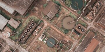 Nature-Dependent Supply Chains: Why Biodiversity Risk Is Reshaping Global Sourcing Strategy