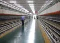 Apple’s Strategic Supply Chain Shift: Navigating Geopolitical Tensions and Globalization