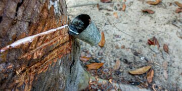 SAP发布2026年供应链韧性新蓝图：Agentic AI与可持续发展成为核心驱动力