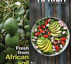 Africa’s Logistics Ecosystem: Evolution in Supply Chain and Air Cargo