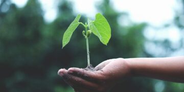 2026年全球供应链ESG合规倒计时：7项强制法规与供应商数据要求详解