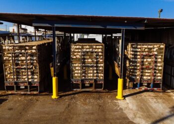 2025年美国关税与出口管制大幅升级，供应链合规压力陡增