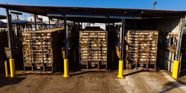 2025年美国关税与出口管制大幅升级，供应链合规压力陡增