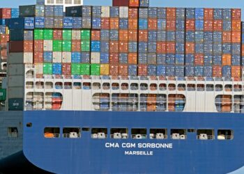 阿联酋协调物流通道保障埃塞进口连续性，113个项目投资2.9亿美元