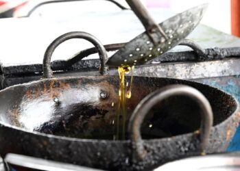 印度40%生物柴油厂无废油采购渠道，供应链韧性承压