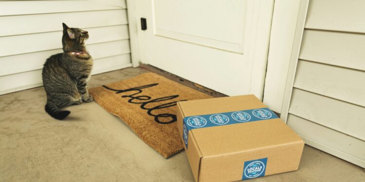 Last Mile Delivery to Hit $250B by Early 2030s: AI and Robots Reshape Retail Logistics