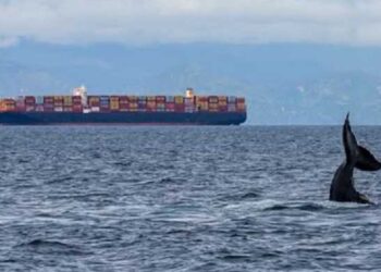 Oakland Port March Container Volume Up 7.1%