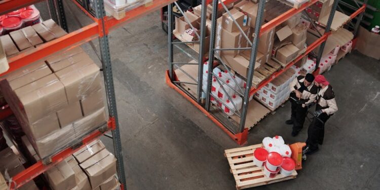 2026非洲供应链转向结构化战略：韧性成核心挑战