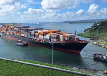 DHL供应链收购Vital集团多家公司