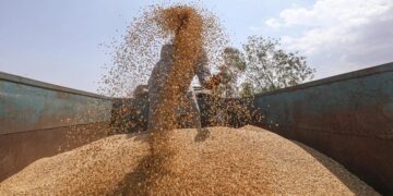 Global Grain Output Cut by 3M Tonnes Amid West Asia Conflict