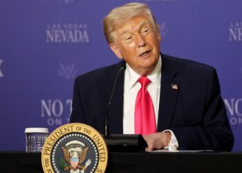 Trump Invokes DPA for 5 Energy Projects — www.ttnews.com