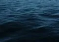 Maersk: Strait of Hormuz Transit Possible Amid Red Sea Disruption