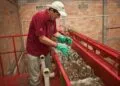 Scope 3 Emissions Account for ~80% of Corporate Carbon Footprint — cleantechnica.com