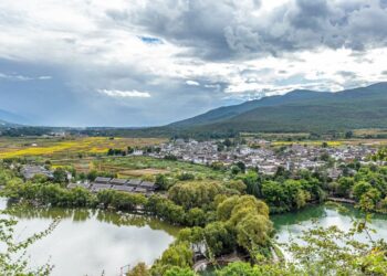 AI供应链协同执行突破,多代理系统落地试点