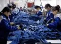 Jeansland 推出 ‘Fresh Blood’ 播客，聚焦全球服装供应链30岁以下从业者