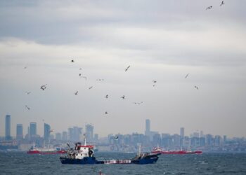 马士基通报霍尔木兹海峡通行受限及萨拉拉港遇袭：3月28日无人机袭击致运营暂停3天