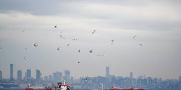 马士基通报霍尔木兹海峡通行受限及萨拉拉港遇袭：3月28日无人机袭击致运营暂停3天