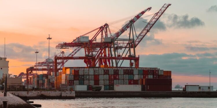 US exempts 200+ food, ag products from Brazil tariffs