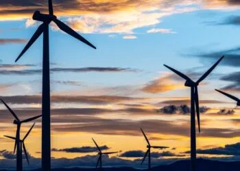 Allianz Trade Launches Green2Green, 98 Policies Issued