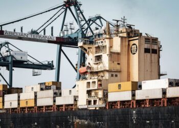UAE Handles 262,000 Containers Amid Steady Supply Chain
