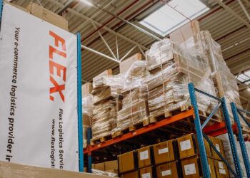 7 Supply Chain Adjustments Required by EU Customs Reform — flexlogistics.eu