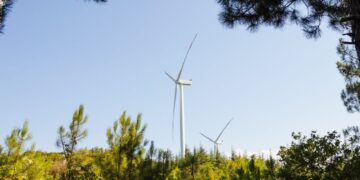 杨斯敦州立大学教授发布供应链韧性研究，覆盖40家中小企与9600家企业数据