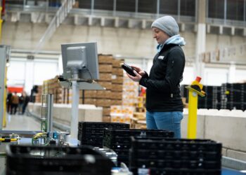 REWE Automates Fresh Food Logistics with 650,000-Unit Daily Capacity — Logistics Business