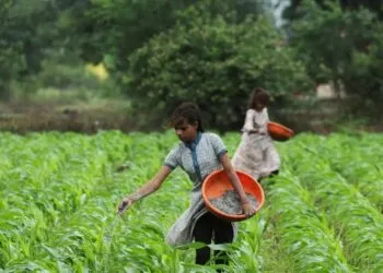 El Niño delays India’s monsoon, disrupting $300B farm supply chain