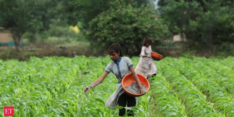 El Niño delays India’s monsoon, disrupting $300B farm supply chain